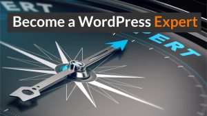 Become a WordPress Expert 12 Key Skills To Learn